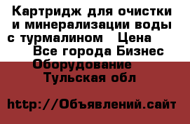 Картридж для очистки и минерализации воды с турмалином › Цена ­ 1 000 - Все города Бизнес » Оборудование   . Тульская обл.